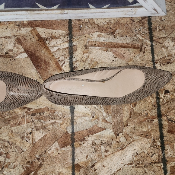 MICHAEL SHANNON (Alara) Ballet Flats Pointed Toe (Snakeskin Print) - SIZE 11 - Picture 6 of 9
